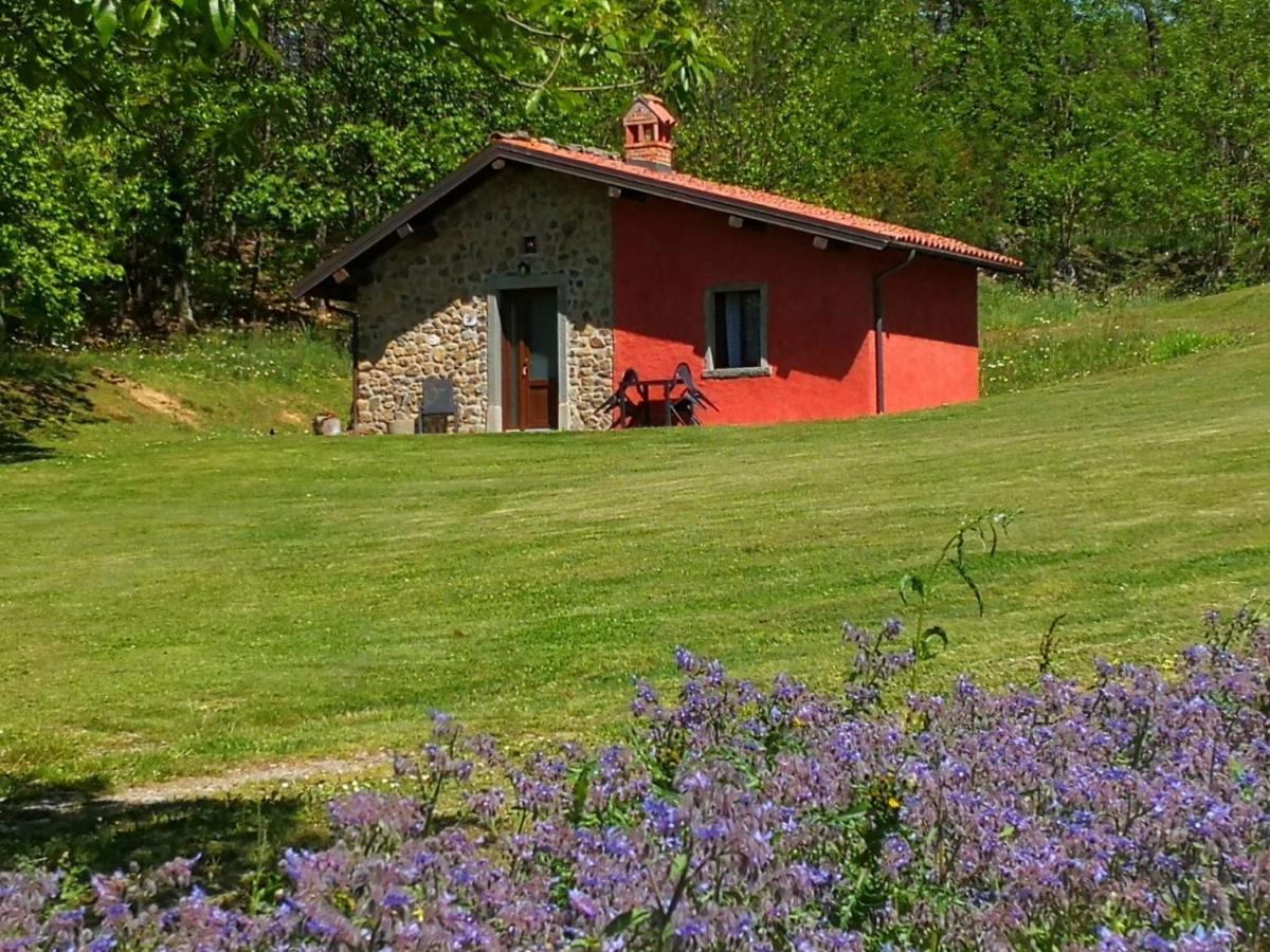 Agriturismo Braccicorti Pieve Fosciana Luaran gambar