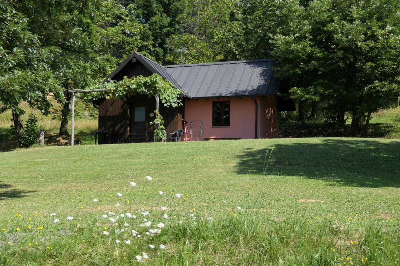 Agriturismo Braccicorti Pieve Fosciana Luaran gambar