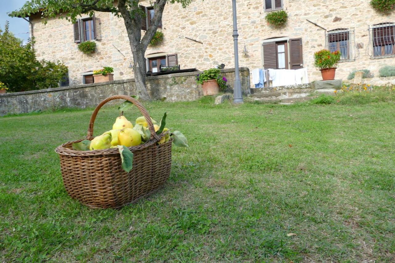 Agriturismo Braccicorti Pieve Fosciana Luaran gambar