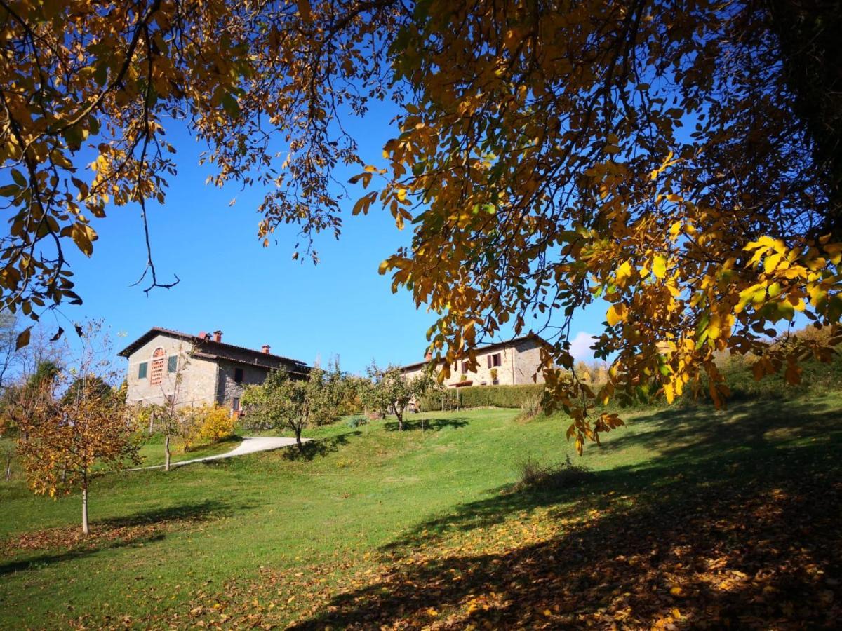 Agriturismo Braccicorti Pieve Fosciana Luaran gambar