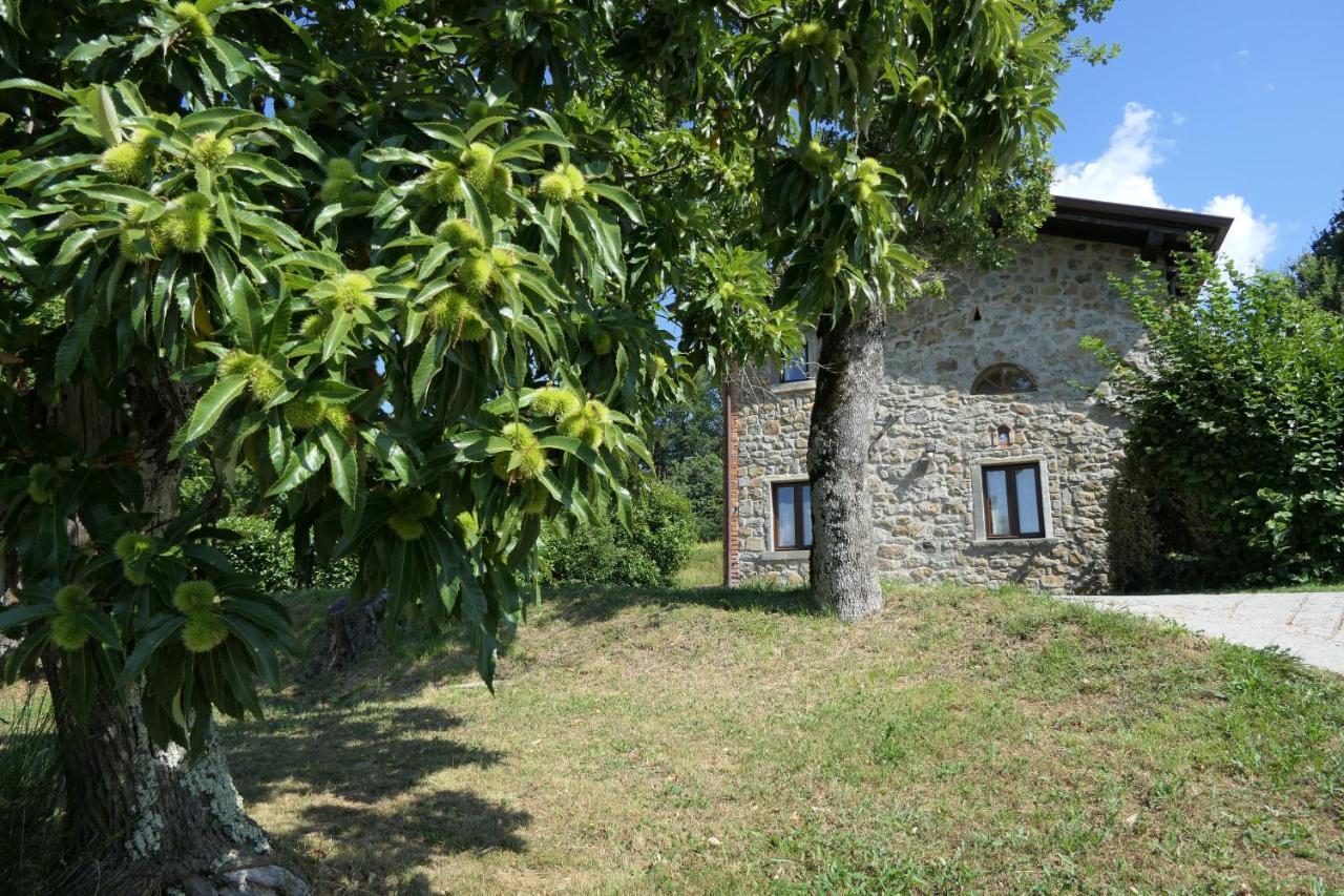 Agriturismo Braccicorti Pieve Fosciana Luaran gambar