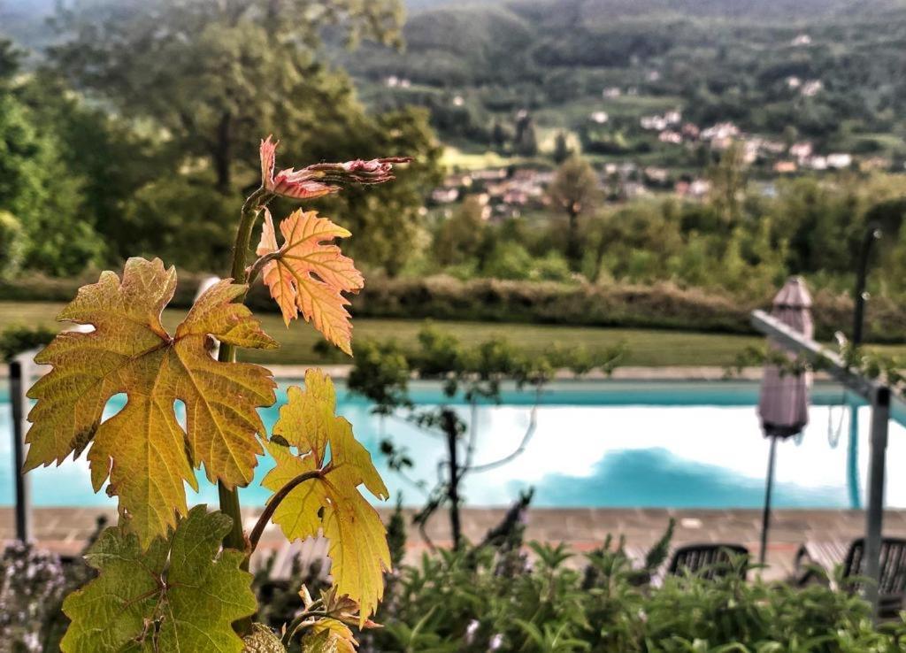 Agriturismo Braccicorti Pieve Fosciana Luaran gambar