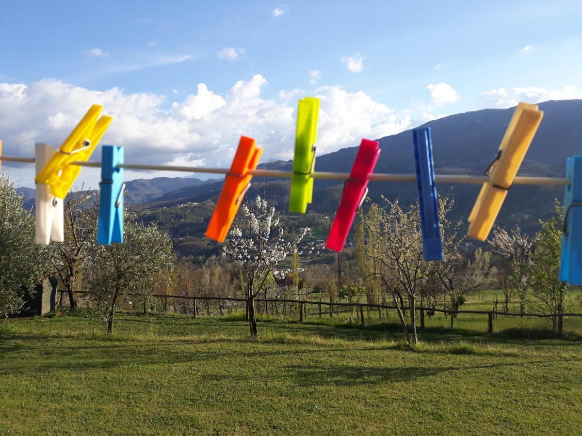 Agriturismo Braccicorti Pieve Fosciana Luaran gambar