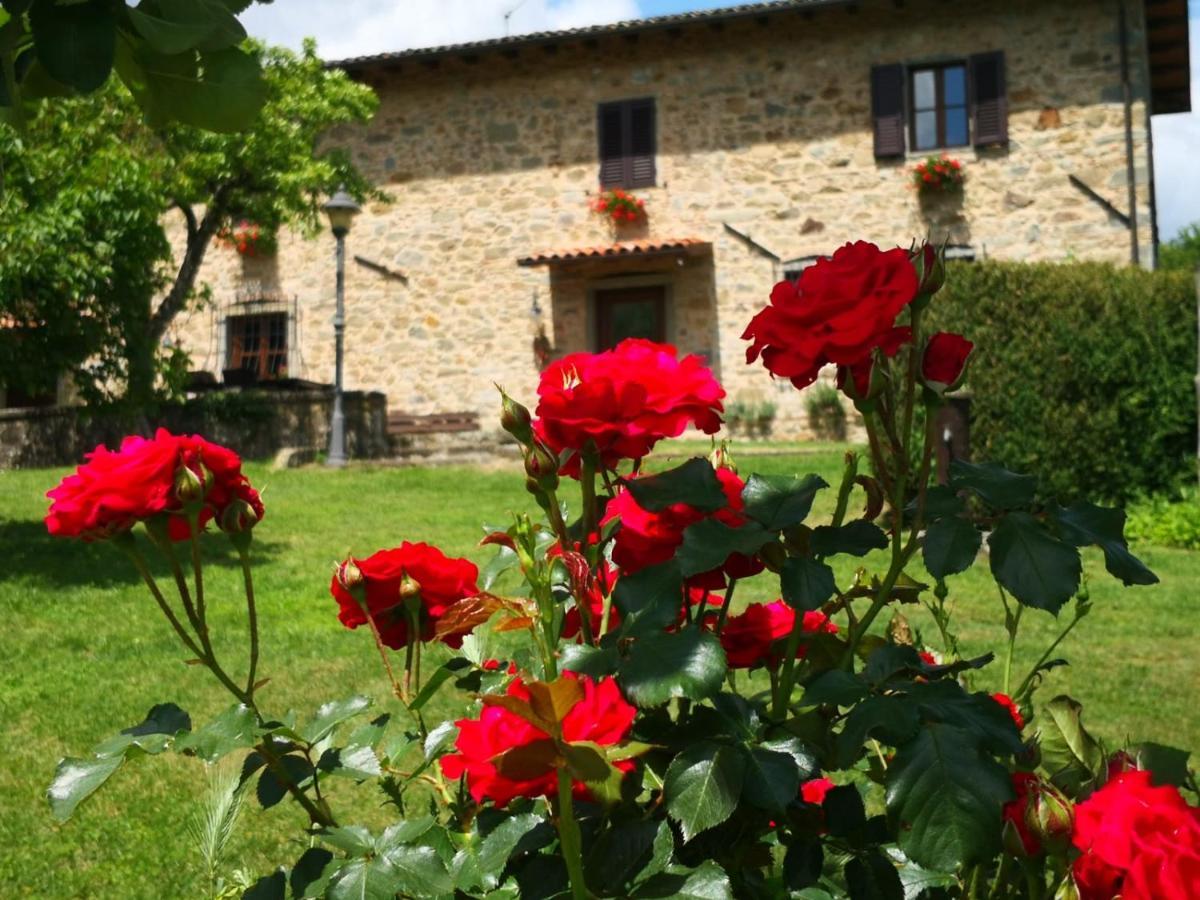 Agriturismo Braccicorti Pieve Fosciana Luaran gambar