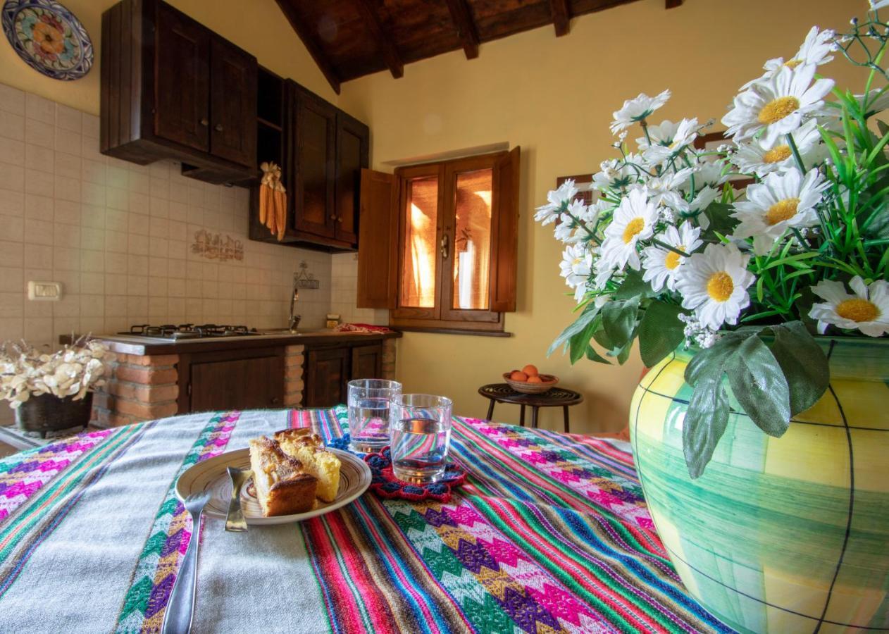Agriturismo Braccicorti Pieve Fosciana Luaran gambar