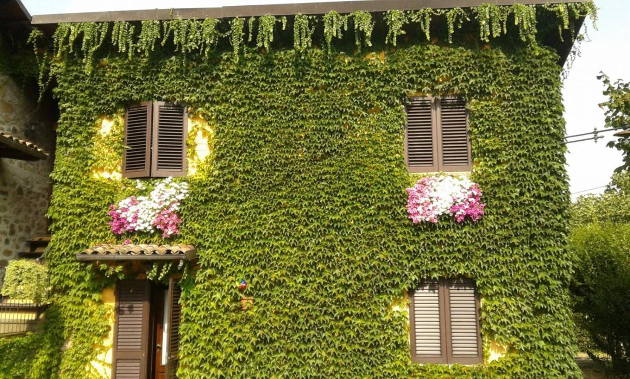 Agriturismo Braccicorti Pieve Fosciana Luaran gambar