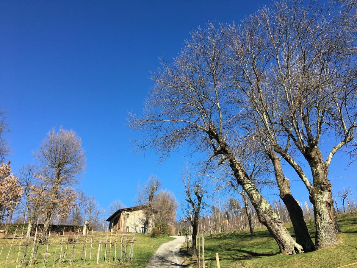Agriturismo Braccicorti Pieve Fosciana Luaran gambar